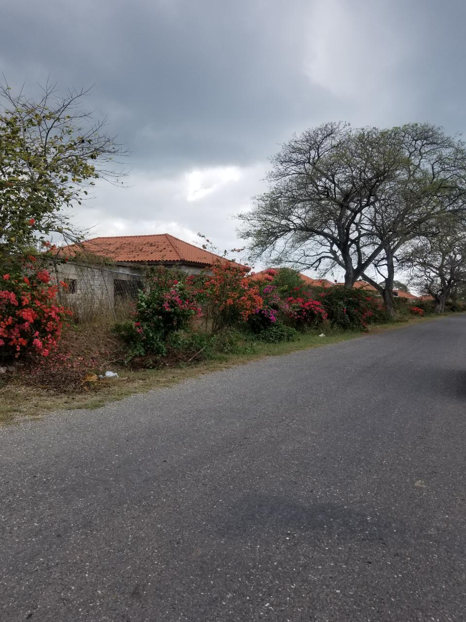 Twenty-Sixth image of Bushy Park,aqueduct Lot94 in Bushy Park, St. Catherine, Jamaica - property is For Sale