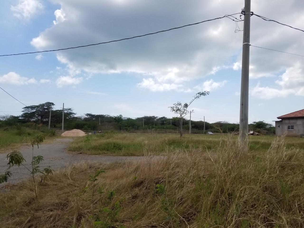 Eighth image of Bushy Park,aqueduct Lot96 in Bushy Park, St. Catherine, Jamaica - property is For Sale