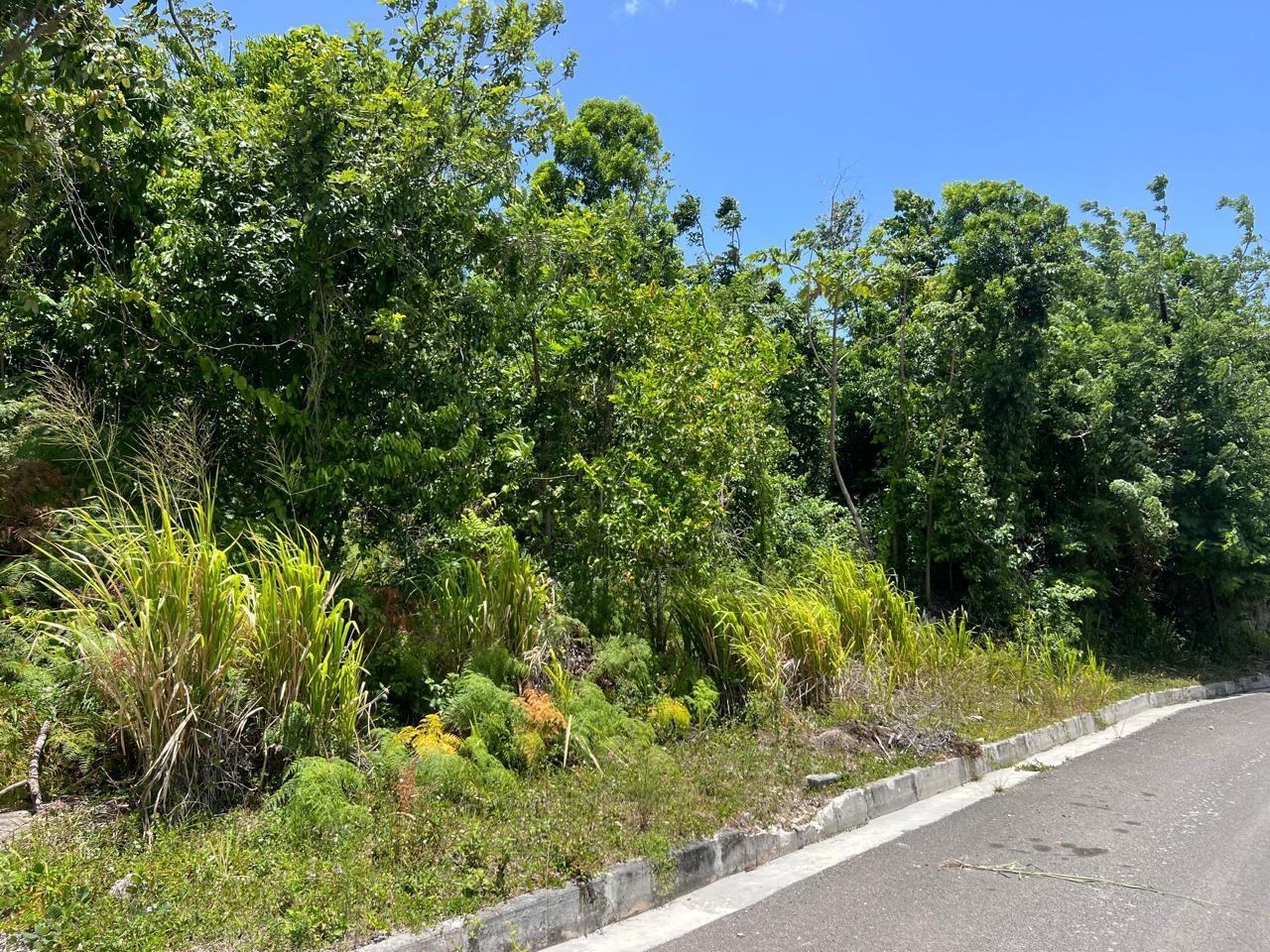 Fourth image of Lot 54a Drax Hall Estate, st Ann in Drax Hall Estate, St. Ann, Jamaica - property is For Sale