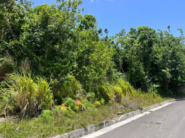 Fourth image of Lot 54a Drax Hall Estate, st Ann in Drax Hall Estate, St. Ann, Jamaica - property is For Sale