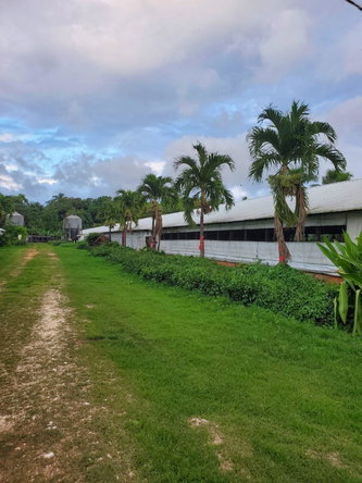 Third image of 348a Treadways, York Street in Linstead, St. Catherine, Jamaica - property is For Sale