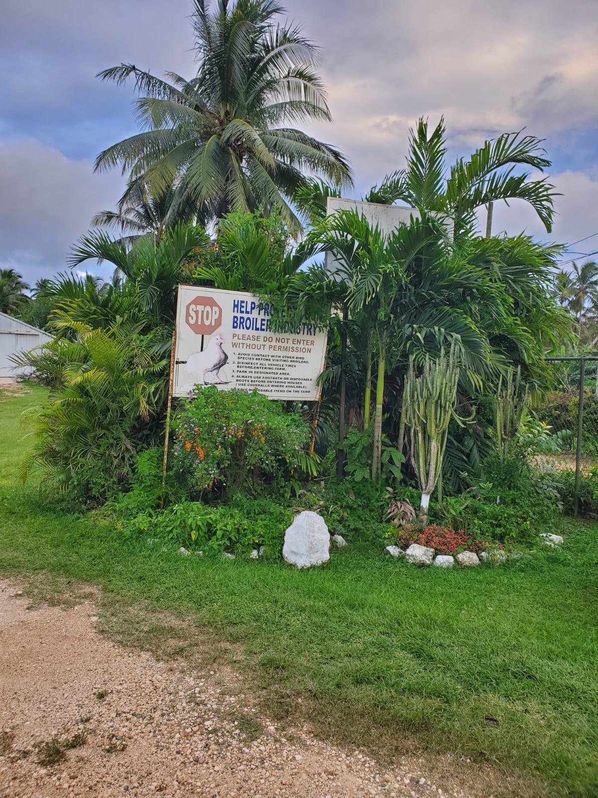Sixth image of 348a Treadways, York Street in Linstead, St. Catherine, Jamaica - property is For Sale