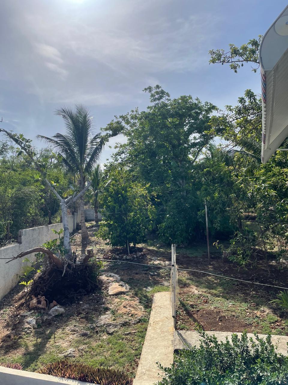 Sixteenth image of Carey Park , Duncan, Trel in Carey Park, Trelawny, Jamaica - property is For Rent