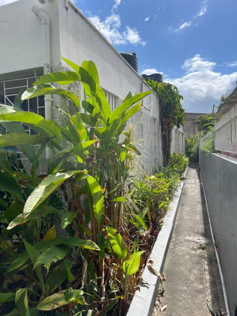 Twenty-Eighth image of 10 Gary Close in Kingston 5, St. Andrew, Jamaica - property is For Sale
