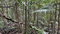 First image of 141 & 142 San San in SAN SAN, Portland, Jamaica - property is For Sale