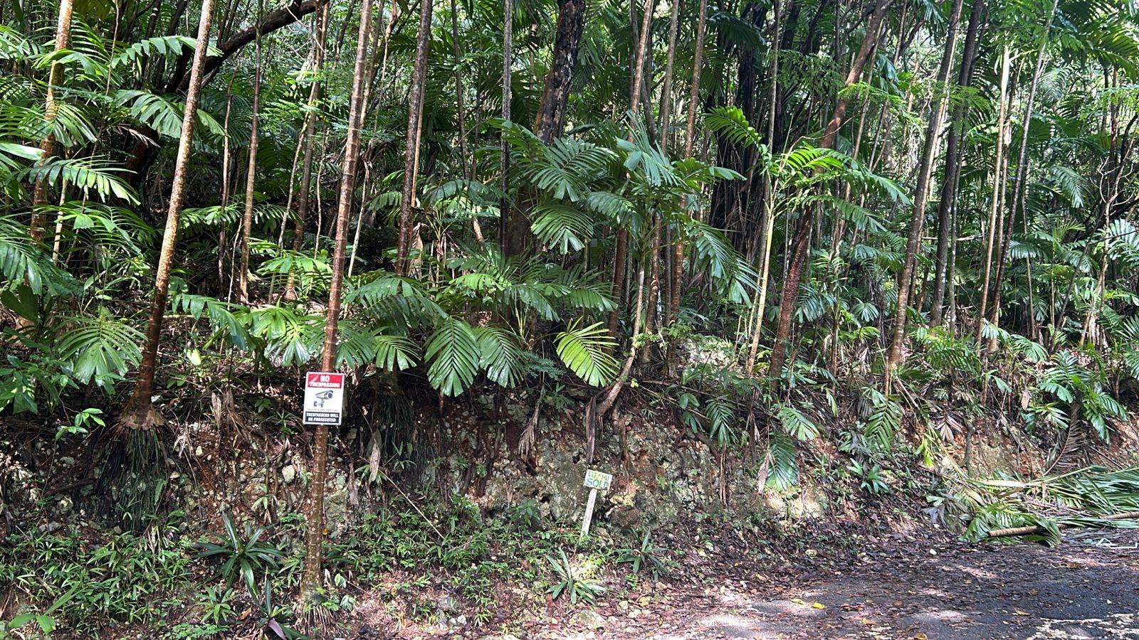 Fourth image of 141 & 142 San San in SAN SAN, Portland, Jamaica - property is For Sale