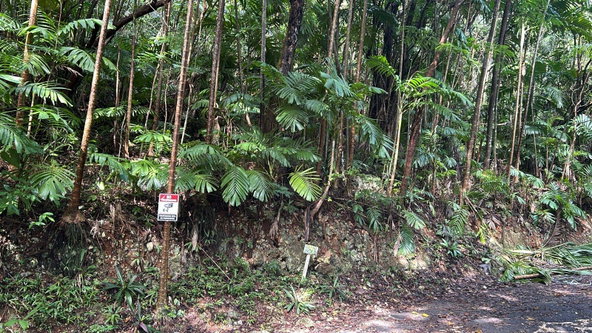 Fourth image of 141 & 142 San San in SAN SAN, Portland, Jamaica - property is For Sale
