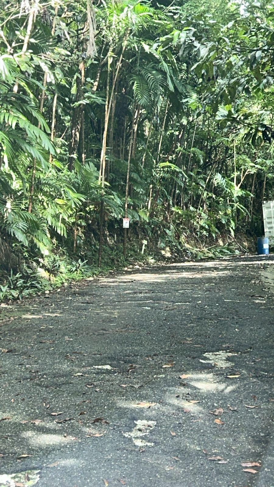 Eighth image of 141 & 142 San San in SAN SAN, Portland, Jamaica - property is For Sale