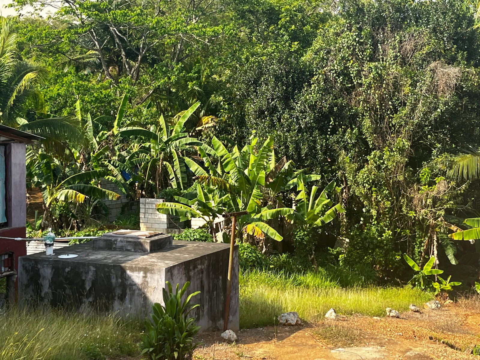 Twenty-First image of Part of Wallens Linstead, in Linstead, St. Catherine, Jamaica - property is For Sale