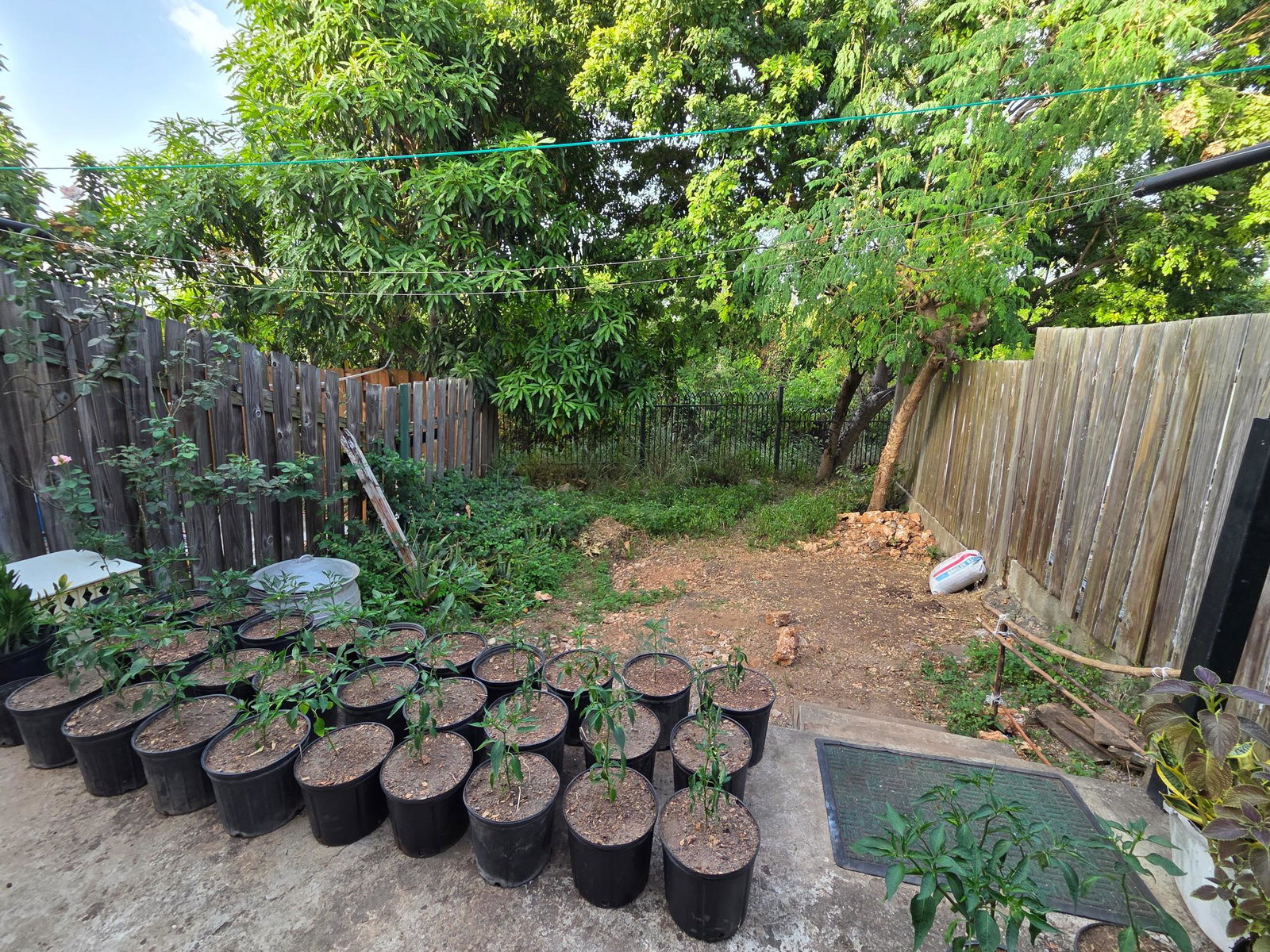 Fifteenth image of 91 East Mountain Pride in Kingston 6, St. Andrew, Jamaica - property is For Sale