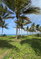 First image of Woodstock Estate, Buff ba in Buff Bay, Portland, Jamaica - property is For Sale