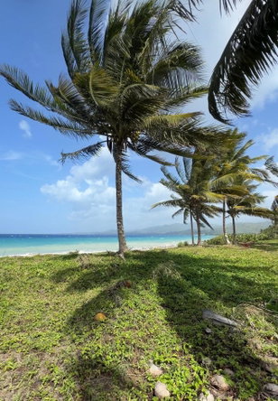 Fourth image of Woodstock Estate, Buff ba in Buff Bay, Portland, Jamaica - property is For Sale