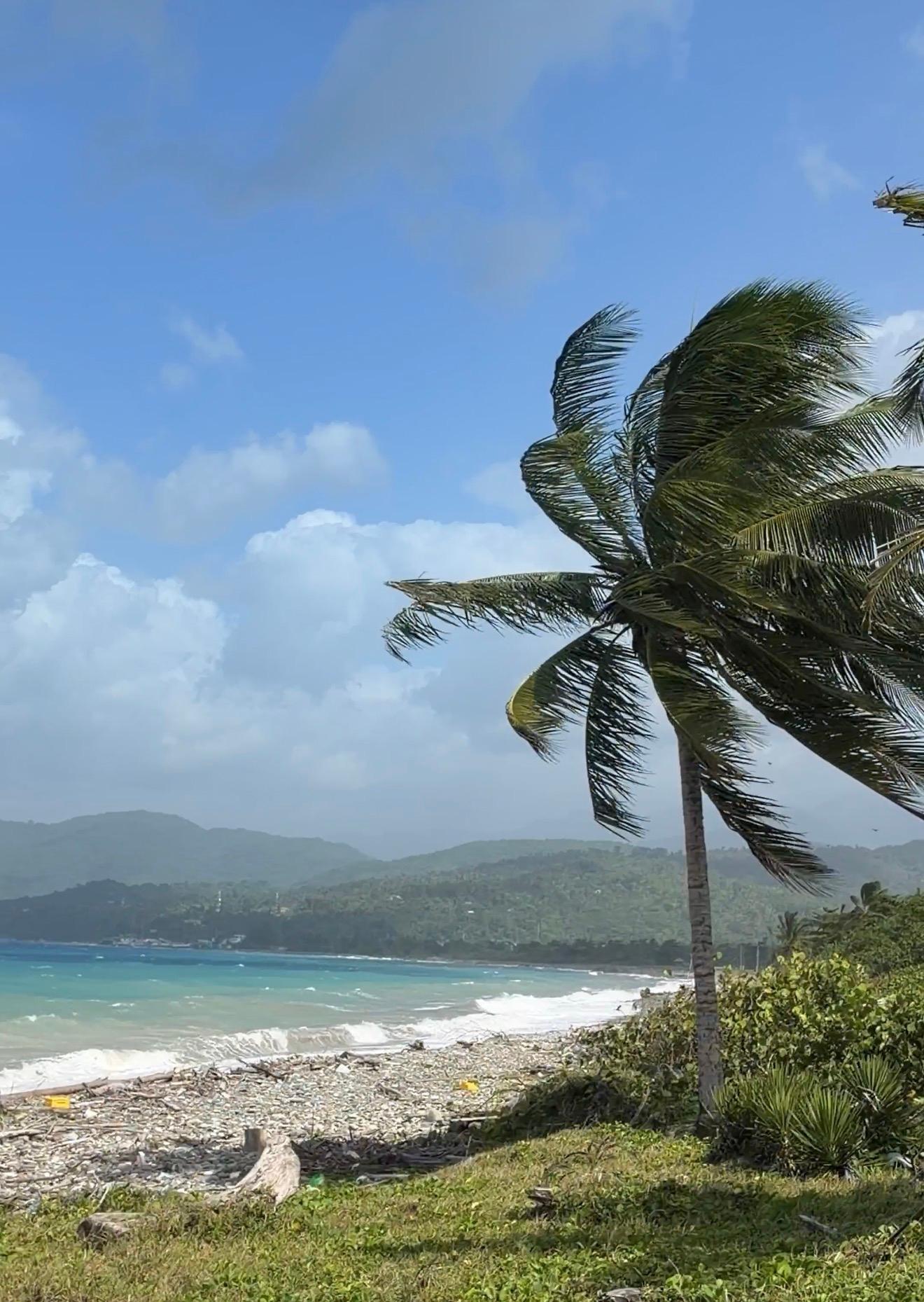 Sixth image of Woodstock Estate, Buff ba in Buff Bay, Portland, Jamaica - property is For Sale