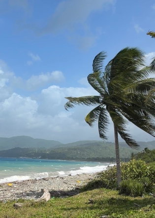 Sixth image of Woodstock Estate, Buff ba in Buff Bay, Portland, Jamaica - property is For Sale