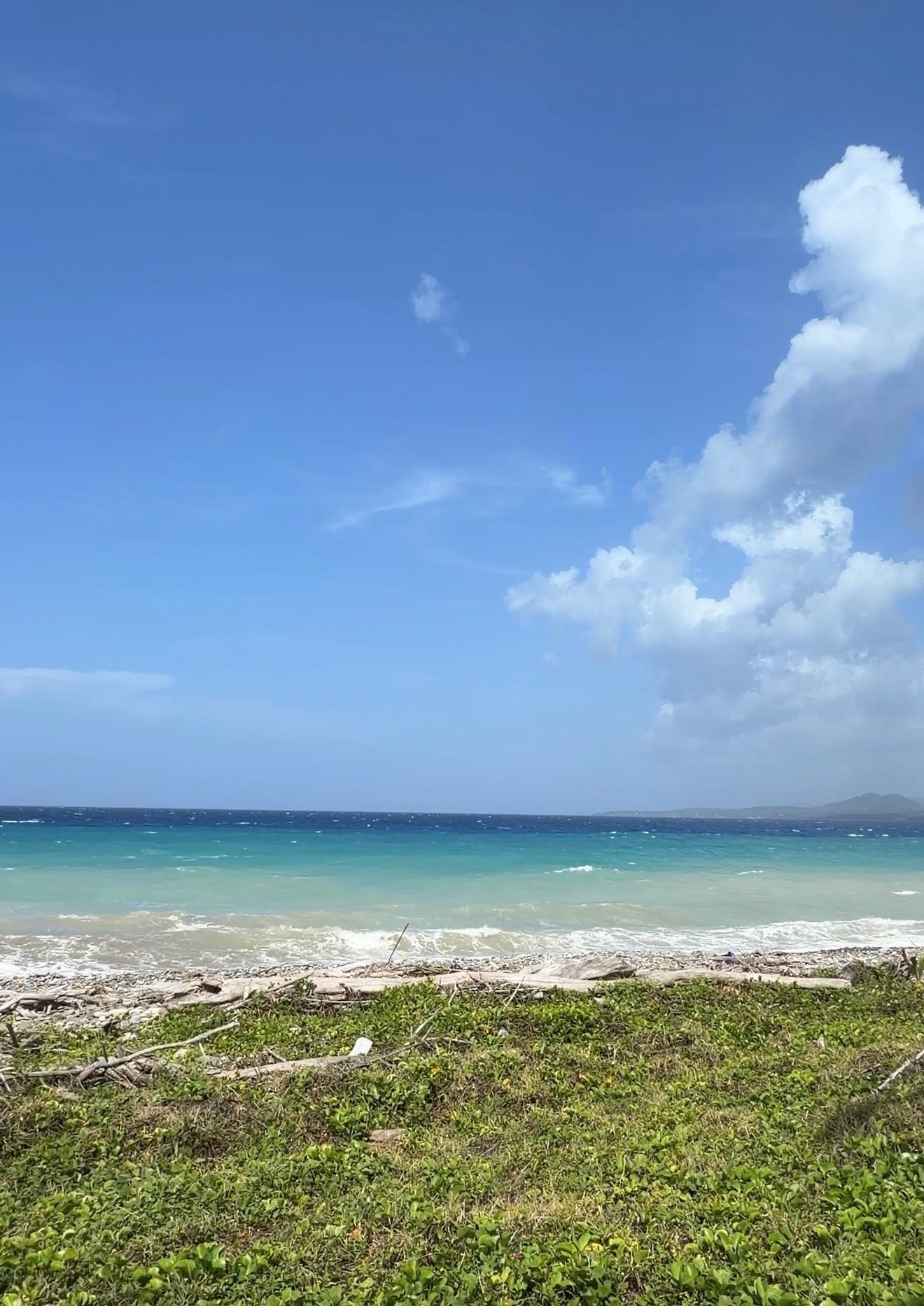 Seventh image of Woodstock Estate, Buff ba in Buff Bay, Portland, Jamaica - property is For Sale
