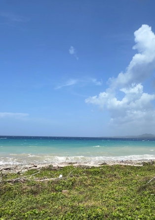 Seventh image of Woodstock Estate, Buff ba in Buff Bay, Portland, Jamaica - property is For Sale