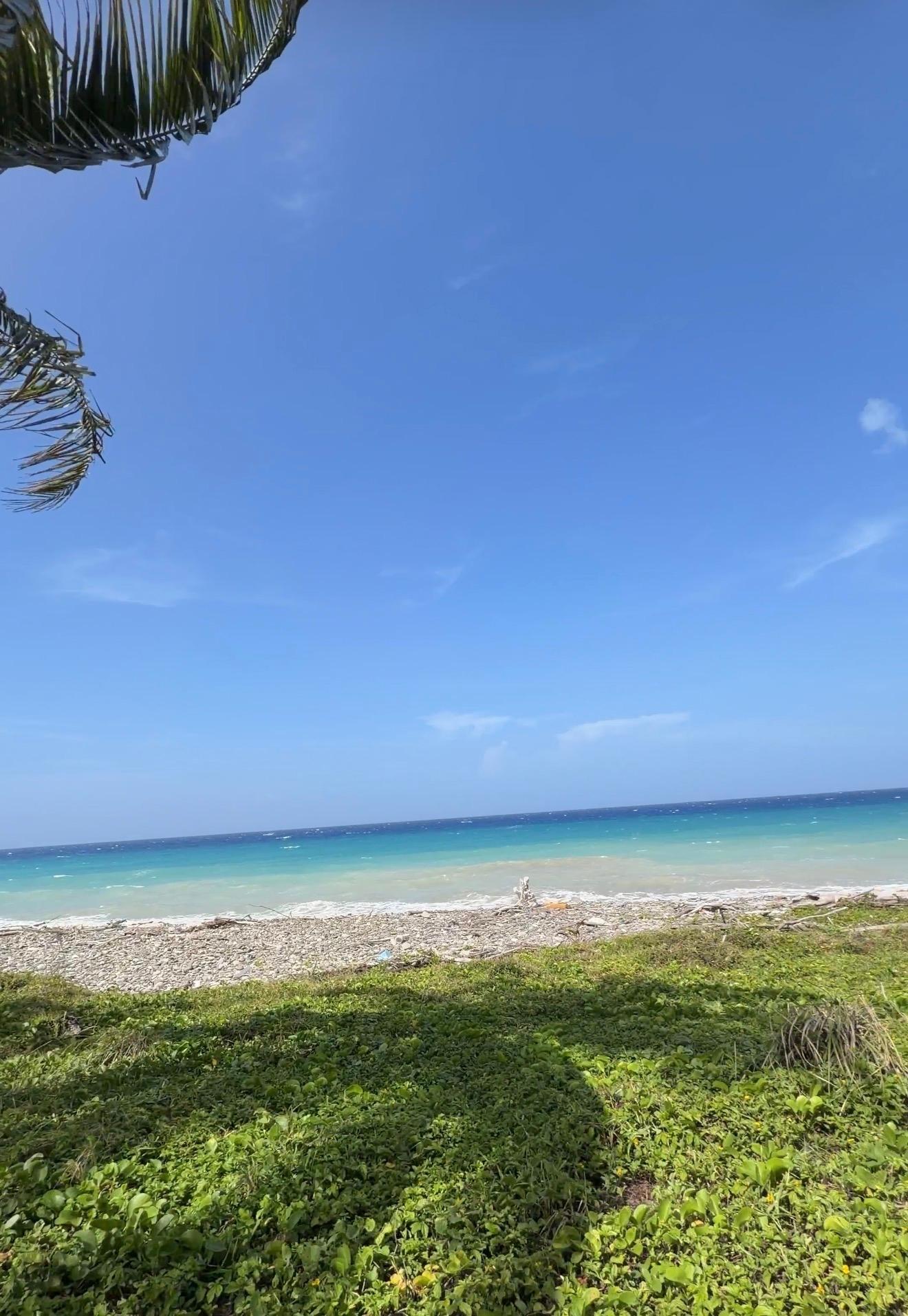 Eighth image of Woodstock Estate, Buff ba in Buff Bay, Portland, Jamaica - property is For Sale