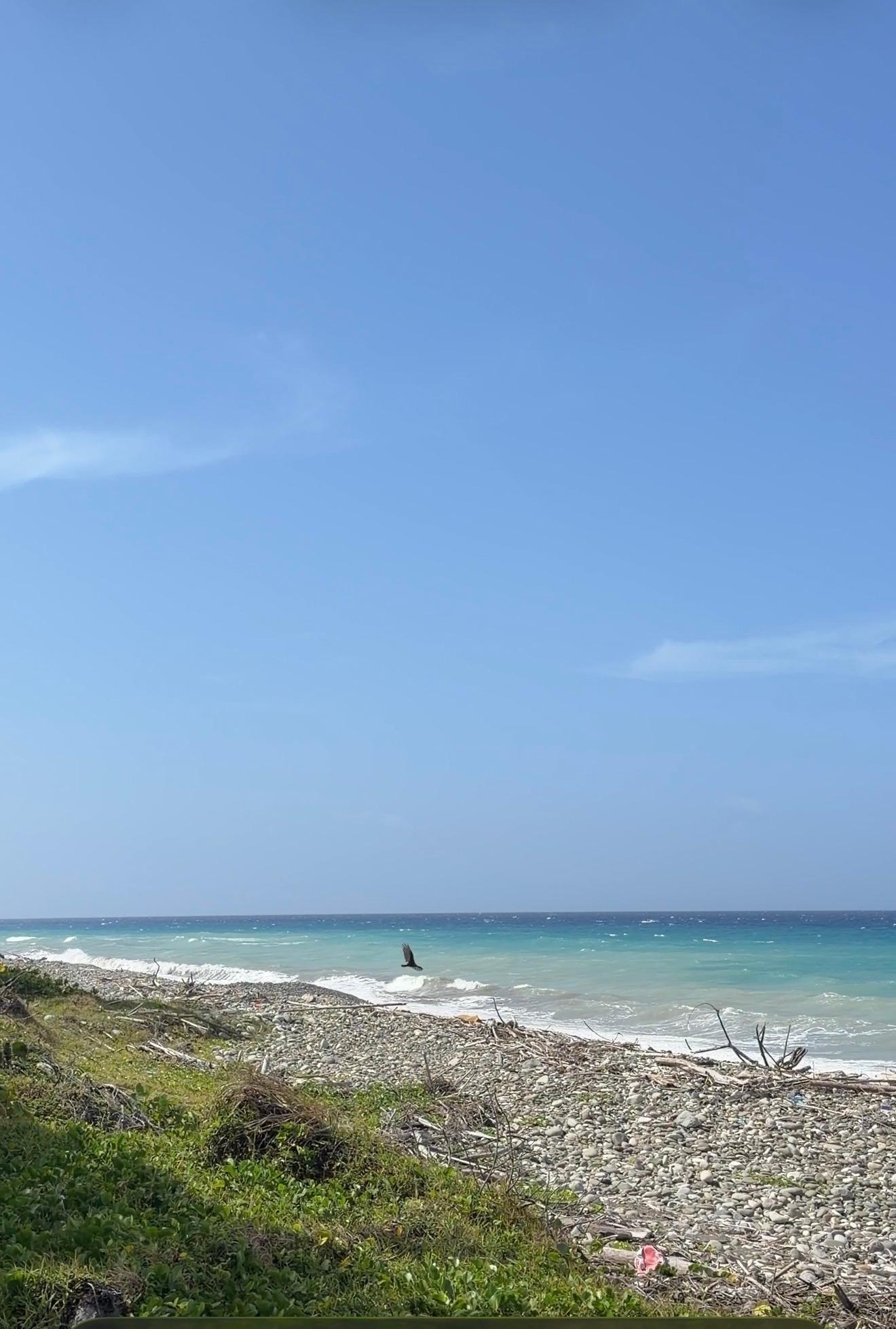 Ninth image of Woodstock Estate, Buff ba in Buff Bay, Portland, Jamaica - property is For Sale