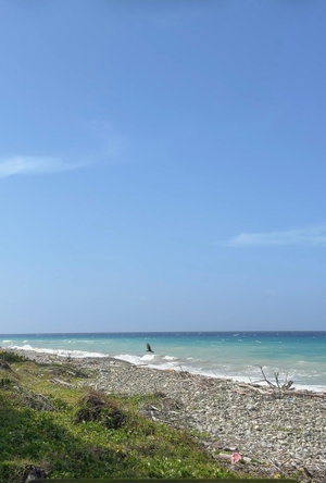 Ninth image of Woodstock Estate, Buff ba in Buff Bay, Portland, Jamaica - property is For Sale