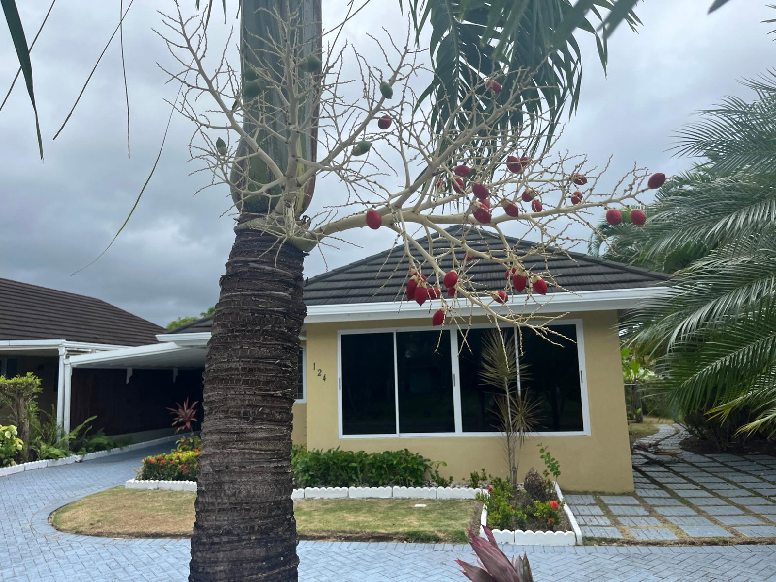 Seventh image of Lot 124-richmond Richmond , st Ann in Richmond, St. Ann, Jamaica - property is For Rent