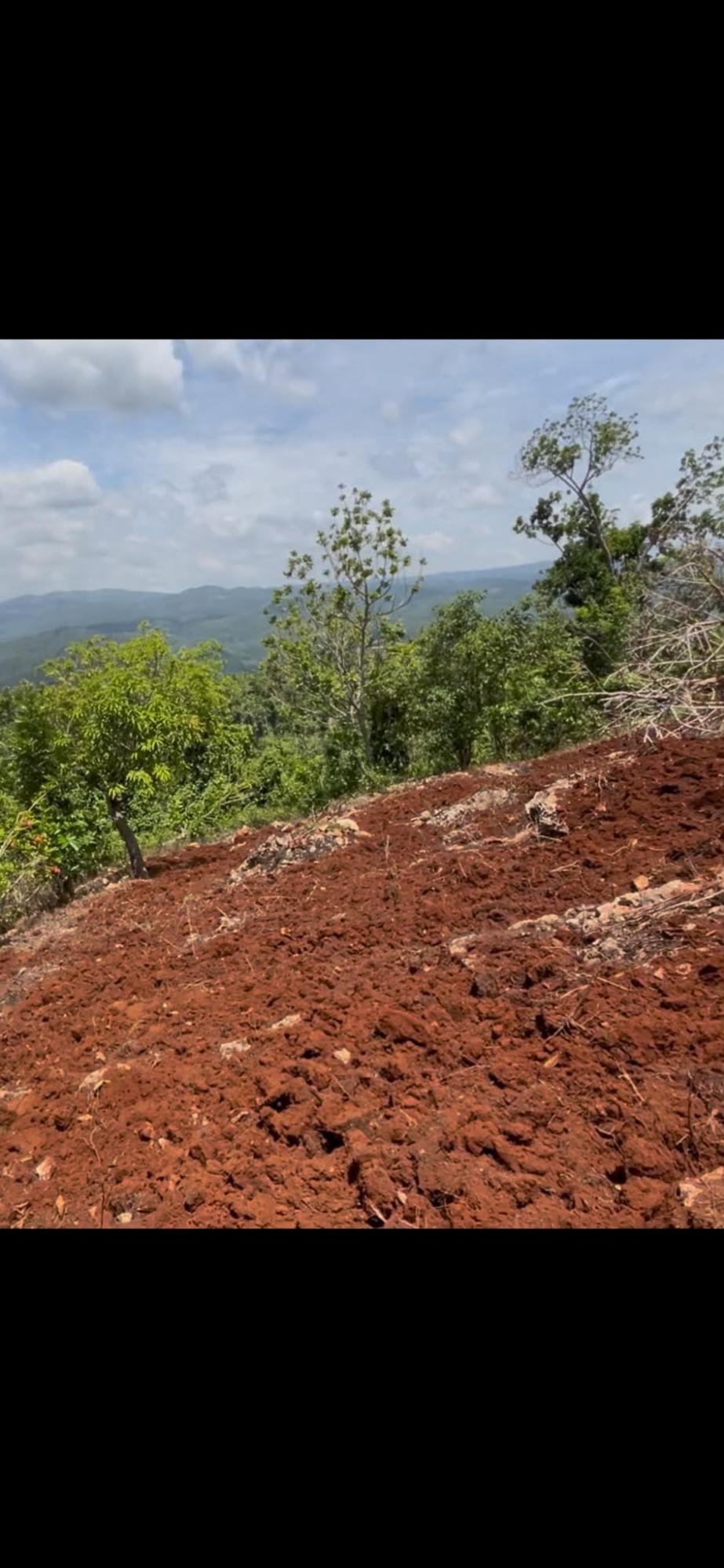 First image of Roses Valley st Elizabeth in Rose Valley, St. Elizabeth, Jamaica - property is For Sale