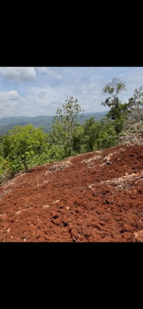 First image of Roses Valley st Elizabeth in Rose Valley, St. Elizabeth, Jamaica - property is For Sale