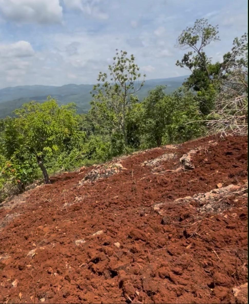 Tenth image of Roses Valley st Elizabeth in Rose Valley, St. Elizabeth, Jamaica - property is For Sale