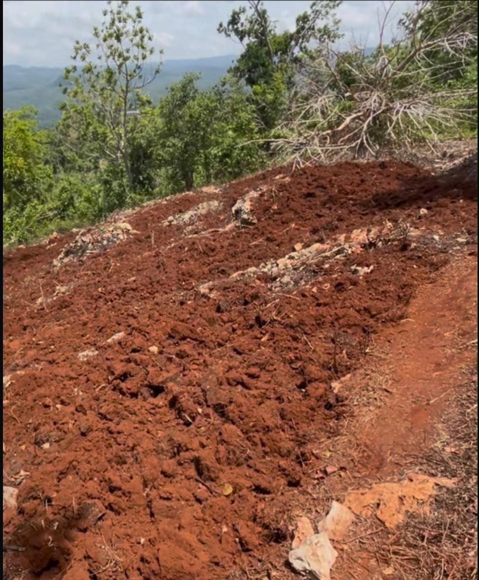 Eleventh image of Roses Valley st Elizabeth in Rose Valley, St. Elizabeth, Jamaica - property is For Sale