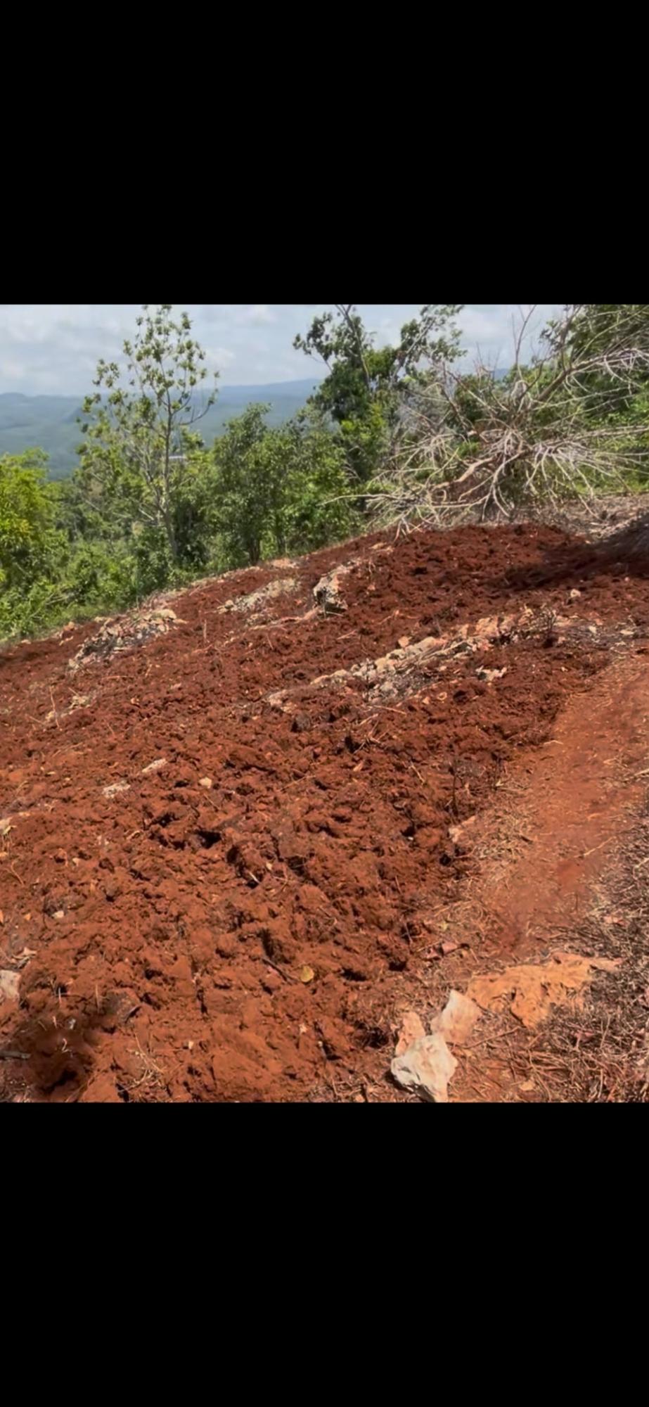 Second image of Roses Valley st Elizabeth in Rose Valley, St. Elizabeth, Jamaica - property is For Sale