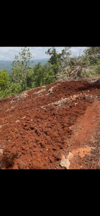 Second image of Roses Valley st Elizabeth in Rose Valley, St. Elizabeth, Jamaica - property is For Sale