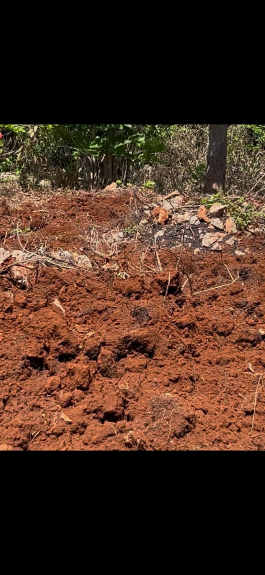 Third image of Roses Valley st Elizabeth in Rose Valley, St. Elizabeth, Jamaica - property is For Sale