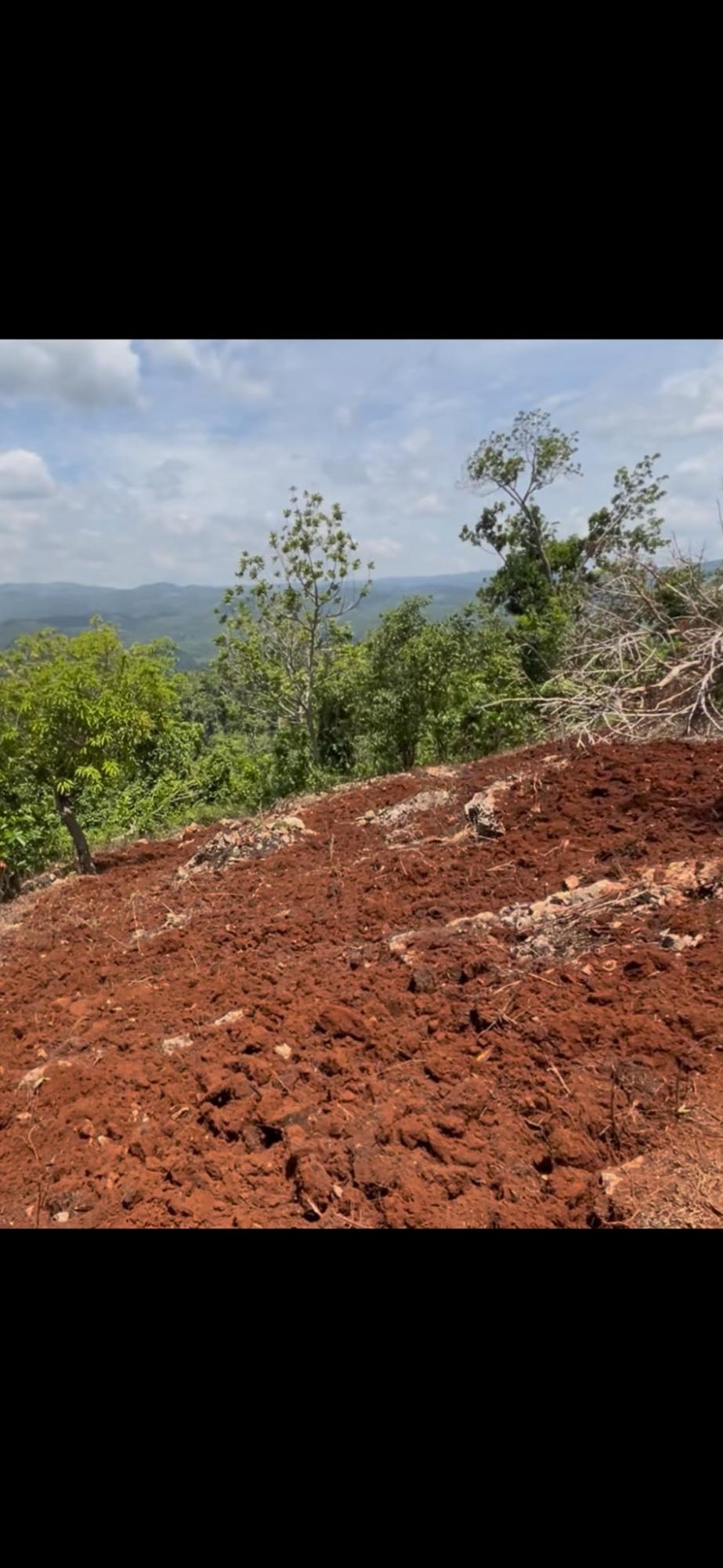 Fourth image of Roses Valley st Elizabeth in Rose Valley, St. Elizabeth, Jamaica - property is For Sale
