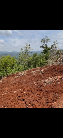 Fourth image of Roses Valley st Elizabeth in Rose Valley, St. Elizabeth, Jamaica - property is For Sale