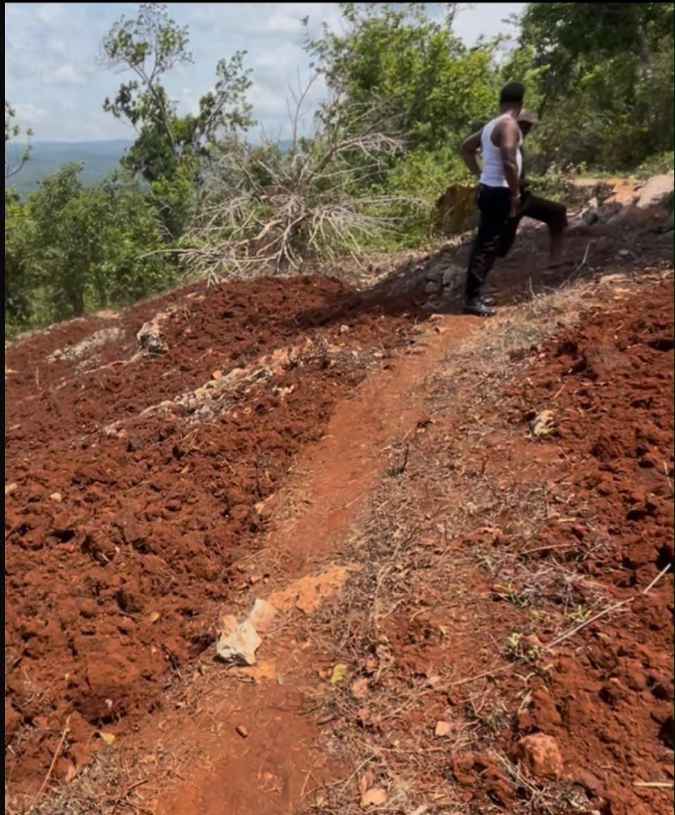 Eighth image of Roses Valley st Elizabeth in Rose Valley, St. Elizabeth, Jamaica - property is For Sale