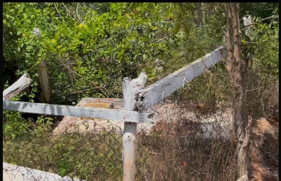 Ninth image of Roses Valley st Elizabeth in Rose Valley, St. Elizabeth, Jamaica - property is For Sale