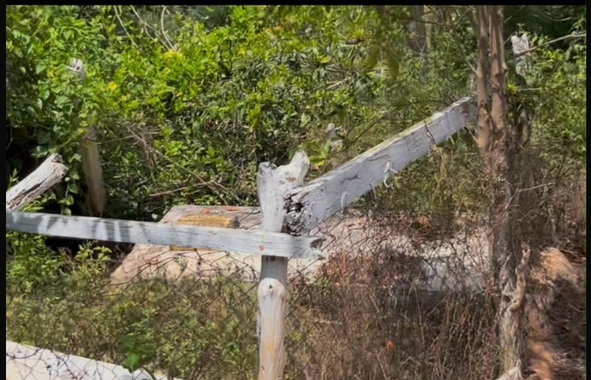 Ninth image of Roses Valley st Elizabeth in Rose Valley, St. Elizabeth, Jamaica - property is For Sale