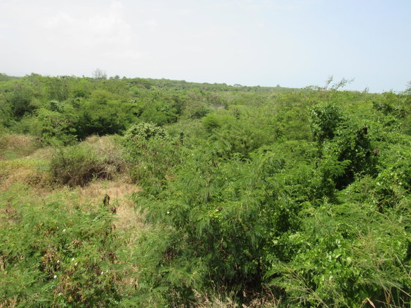 Sixth image of 190 Sunflower Crescent, Longv in Longville, Clarendon, Jamaica - property is For Sale