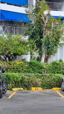 Eighteenth image of 45-96b Old Hope Road, Kingston 6 in Kingston 6, St. Andrew, Jamaica - property is For Sale
