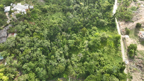 First image of Upton & Bonham Spring Lod in Upton, St. Ann, Jamaica - property is For Sale