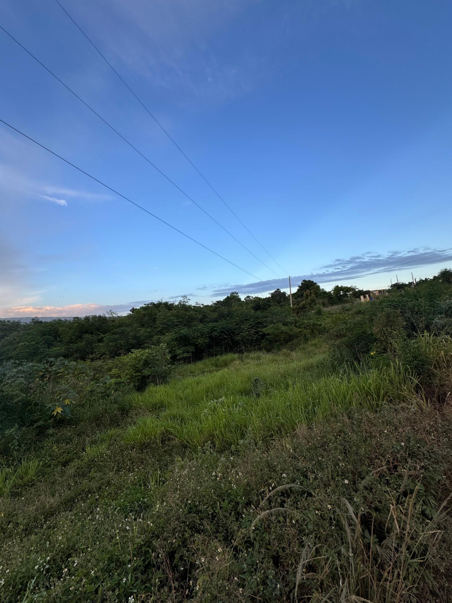 Fifth image of Delightful, St. Elizabeth in Junction, St. Elizabeth, Jamaica - property is For Rent