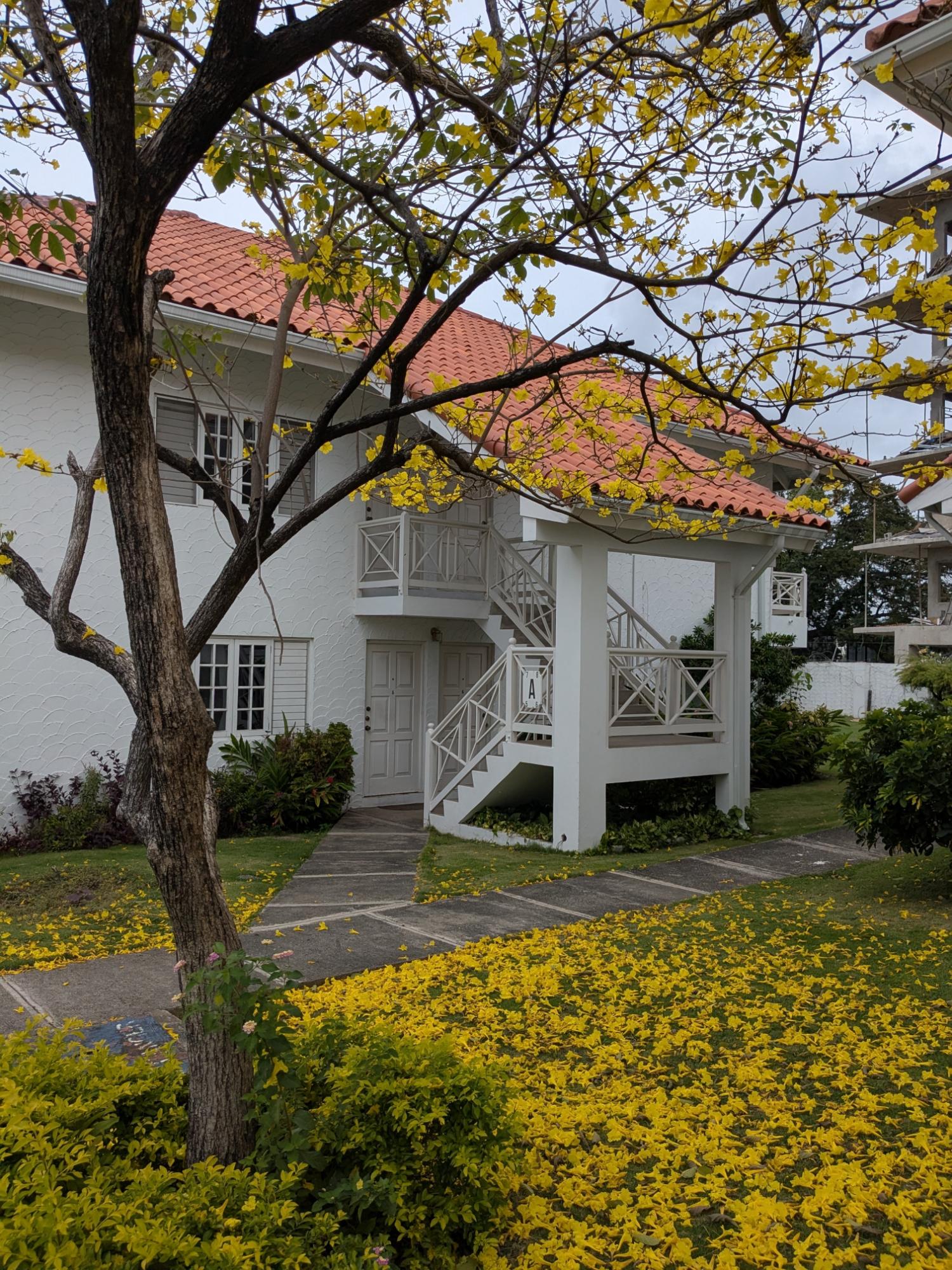 First image of A201-8 East Kings House Road, ki in Kingston 6, St. Andrew, Jamaica - property is For Sale