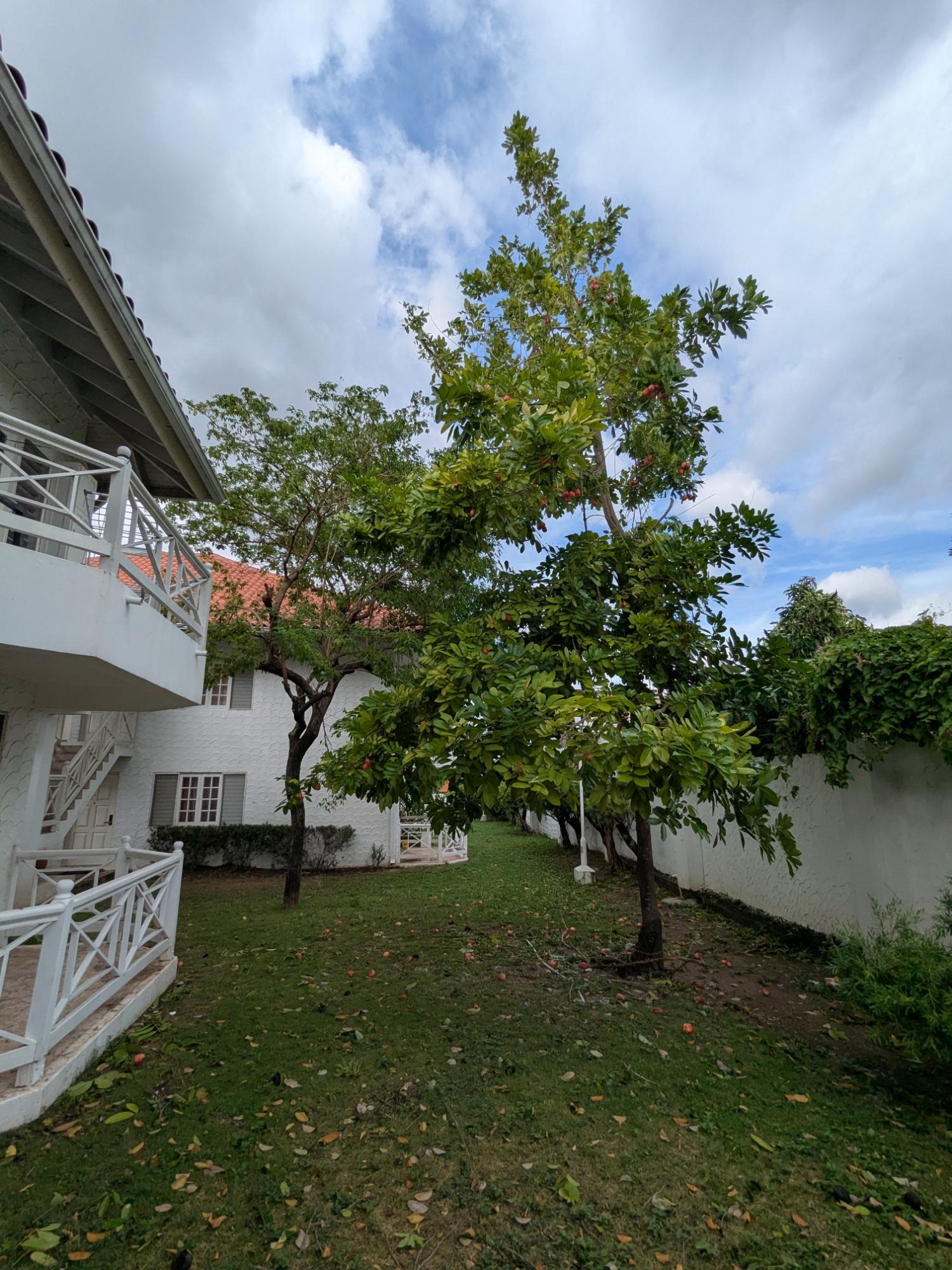 Third image of A201-8 East Kings House Road, ki in Kingston 6, St. Andrew, Jamaica - property is For Sale