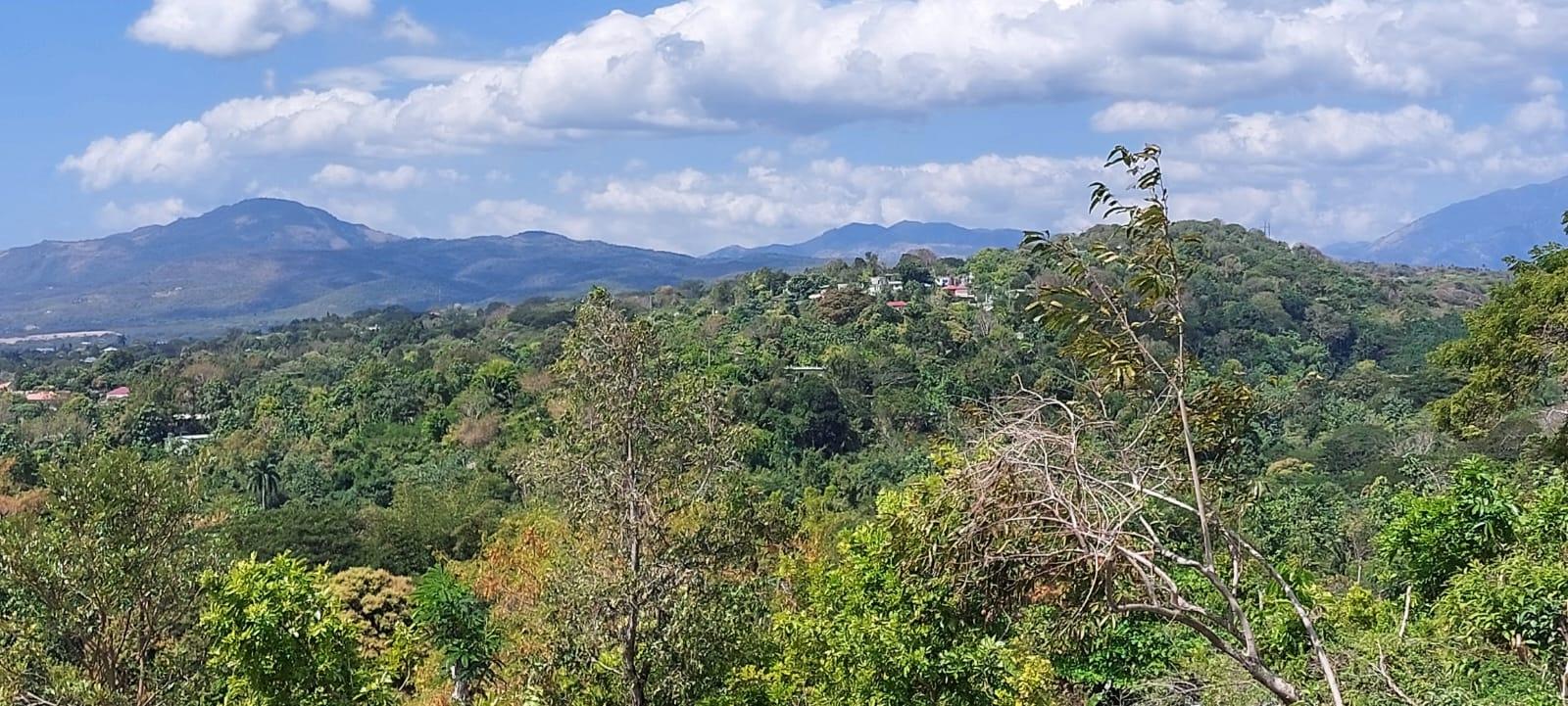 Fourth image of 147- Nuts River Road, Lyssons in Lyssons, St. Thomas, Jamaica - property is For Sale