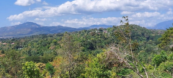 Fourth image of 147- Nuts River Road, Lyssons in Lyssons, St. Thomas, Jamaica - property is For Sale