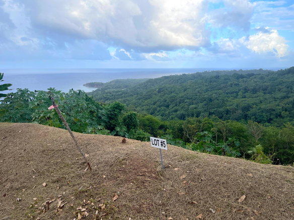 First image of 5- Fairy Hill in Fellowship, Portland, Jamaica - property is For Sale