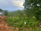 First image of 10- Fairy Hill in Fellowship, Portland, Jamaica - property is For Sale