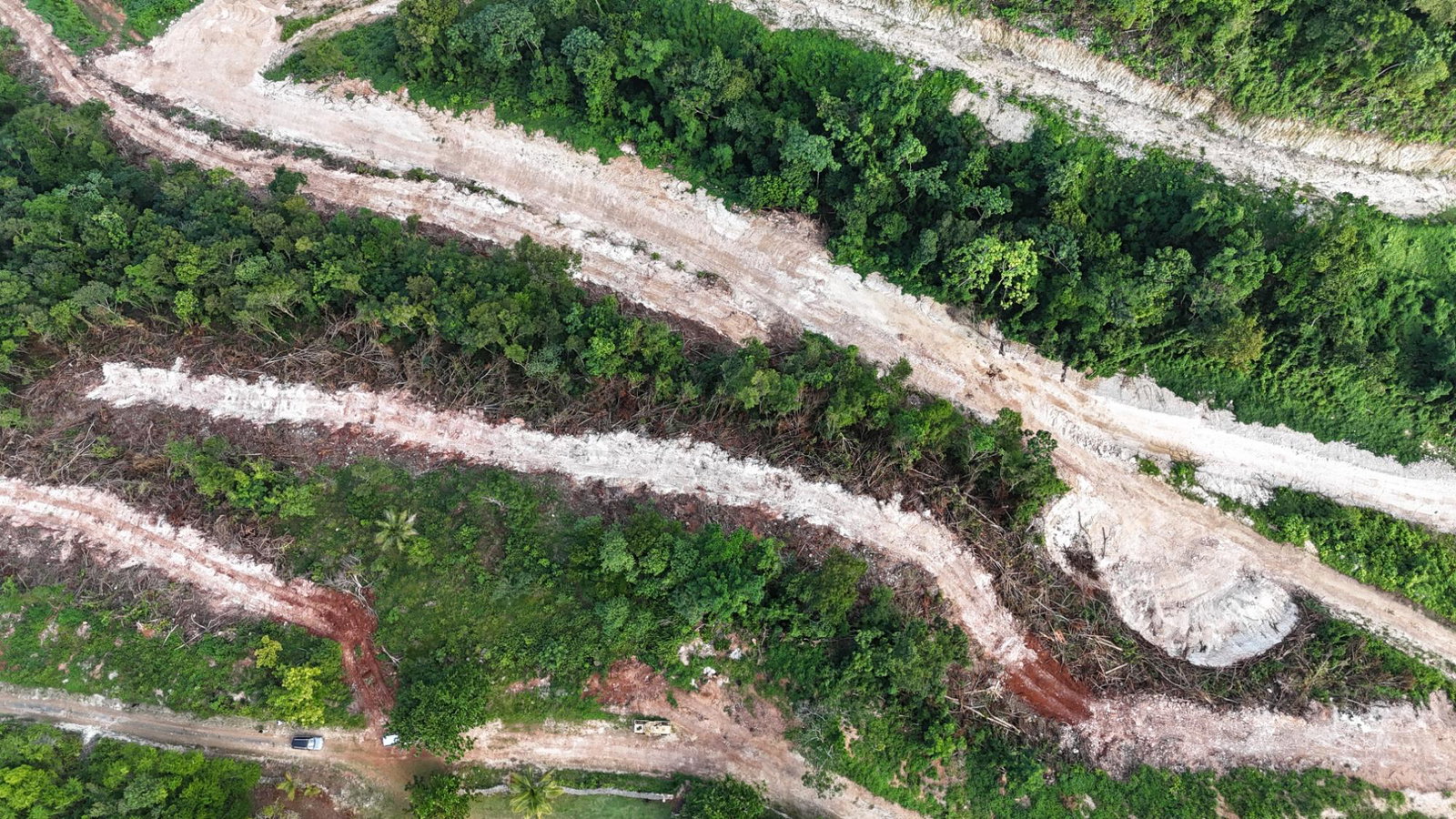 Seventh image of 10- Fairy Hill in Fellowship, Portland, Jamaica - property is For Sale