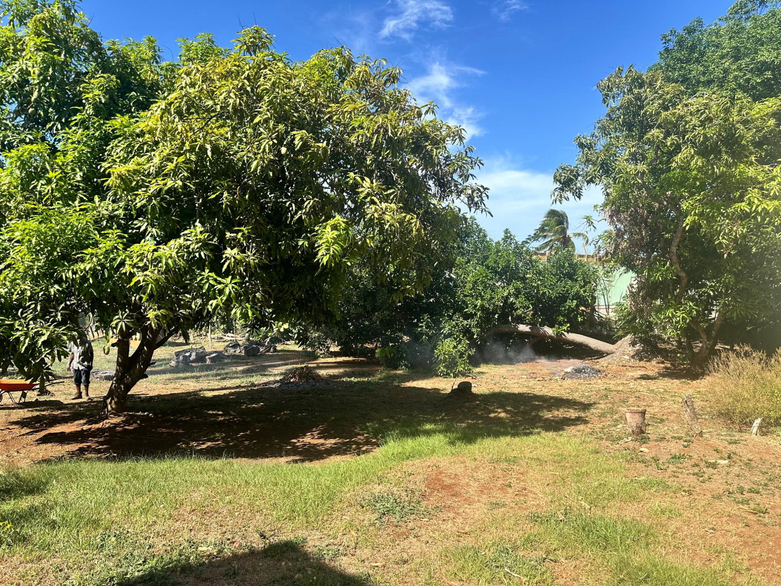 Sixth image of 1&2 Eltham, White River, Ocho in Eltham, St. Ann, Jamaica - property is For Sale