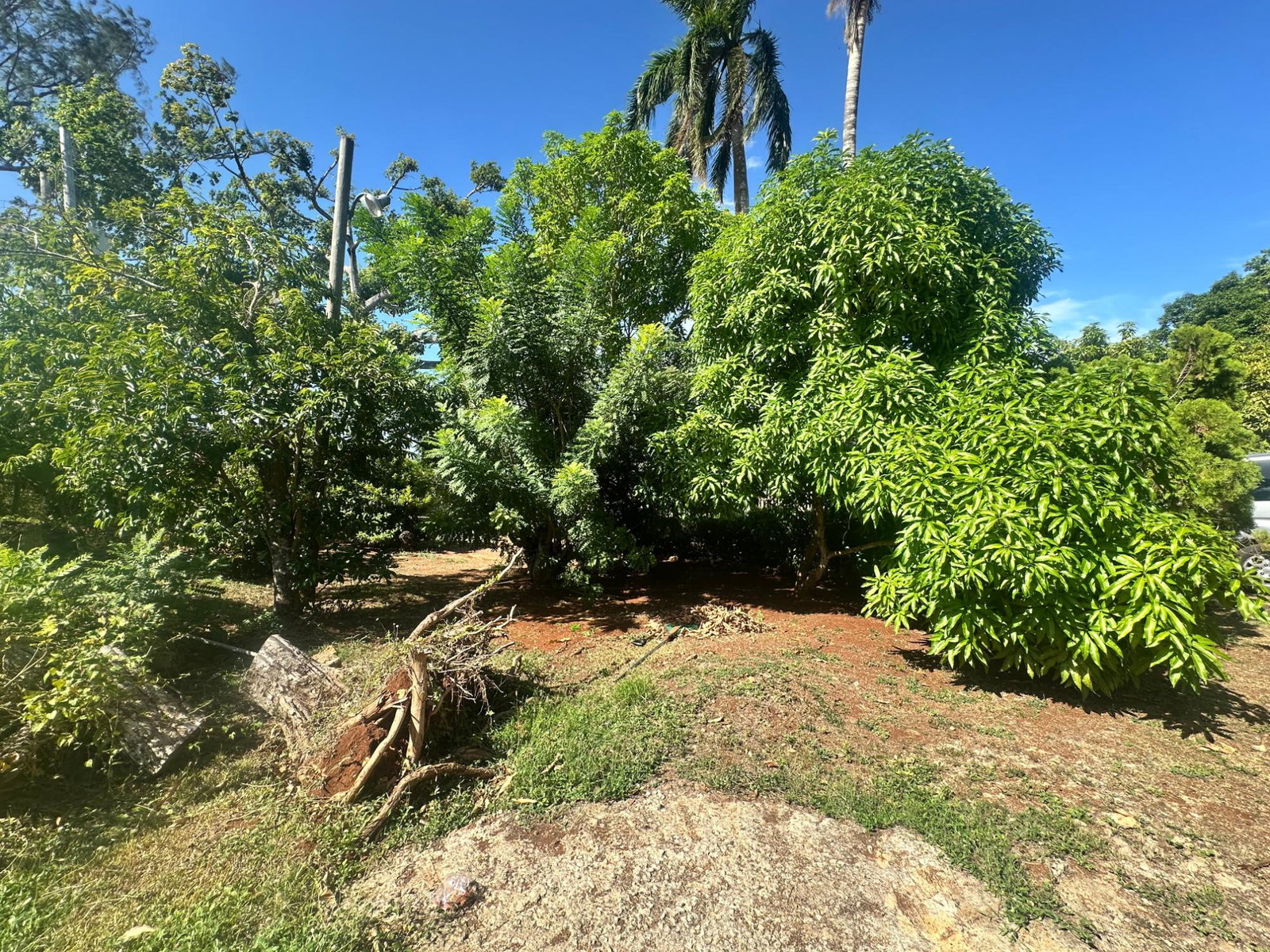 Seventh image of 1&2 Eltham, White River, Ocho in Eltham, St. Ann, Jamaica - property is For Sale