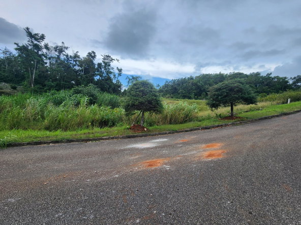 Tenth image of 97 Ravenswood Avenue in Mandeville, Manchester, Jamaica - property is For Sale